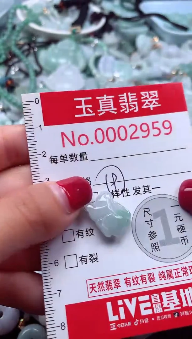颈饰未镶嵌翡翠2959