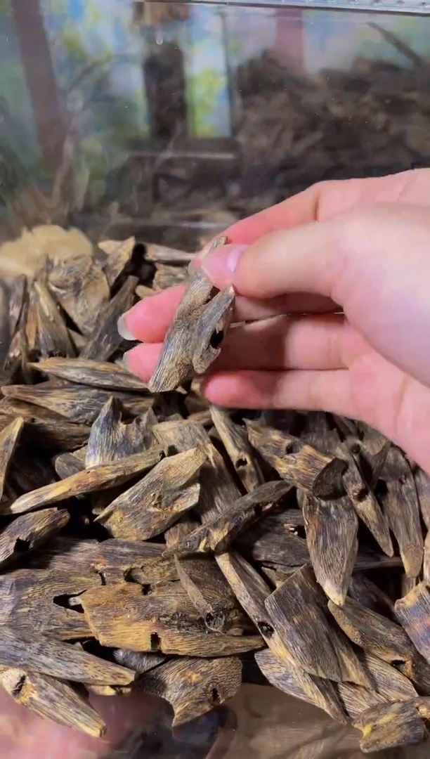 沉香碎屑沉香20克