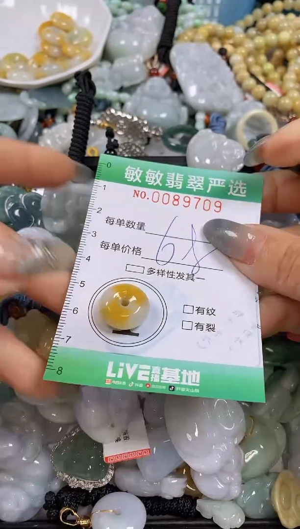 【闪购商品】翡翠颈饰未镶嵌闪购0089709