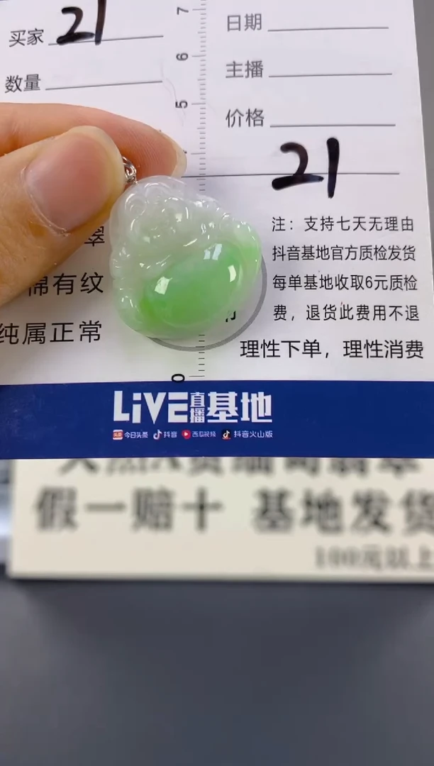 【闪购商品】翡翠颈饰18K金镶嵌天然A货翡翠