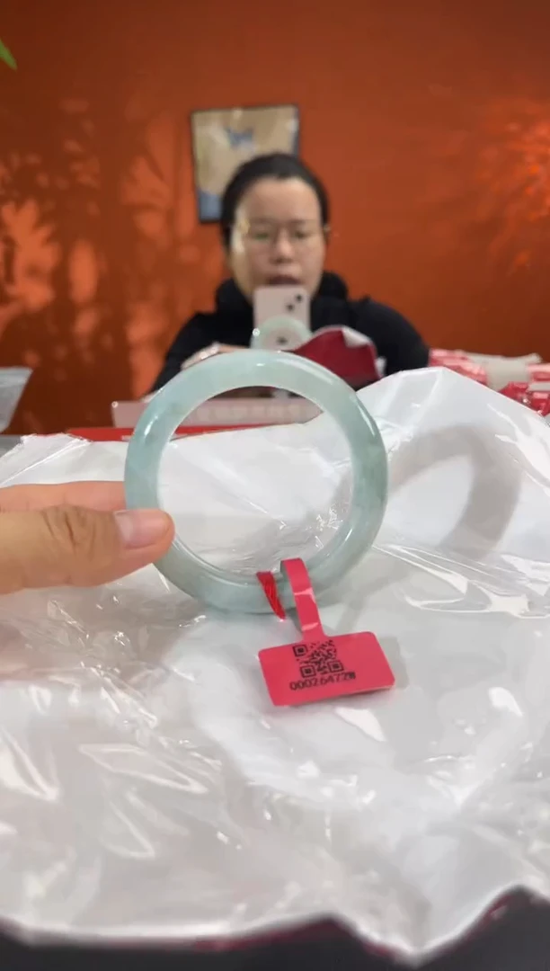 未镶嵌手镯翡翠6