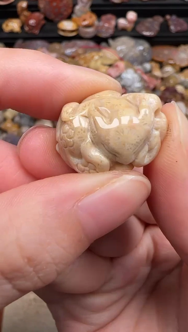 硅化珊瑚（珊瑚玉）未镶嵌颈饰226