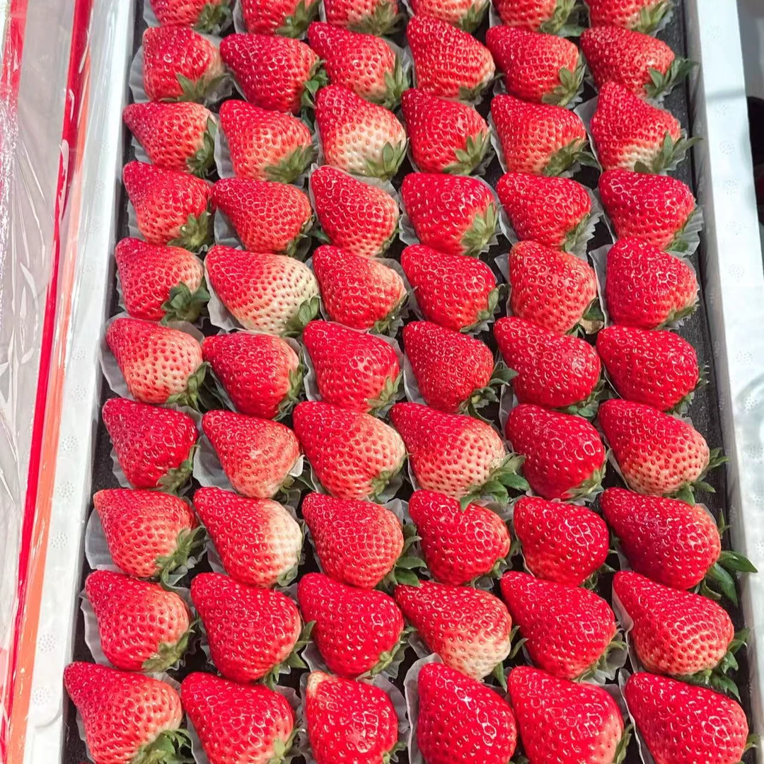 【配送到家】新鲜水果 丹东99牛奶草莓一斤5排