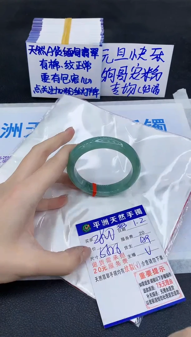 未镶嵌手镯翡翠1