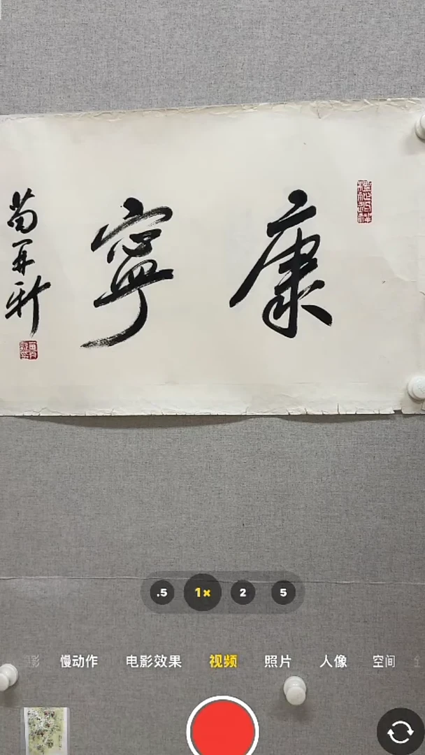 【闪购商品】书法-绘画-苗再新-2平尺书法