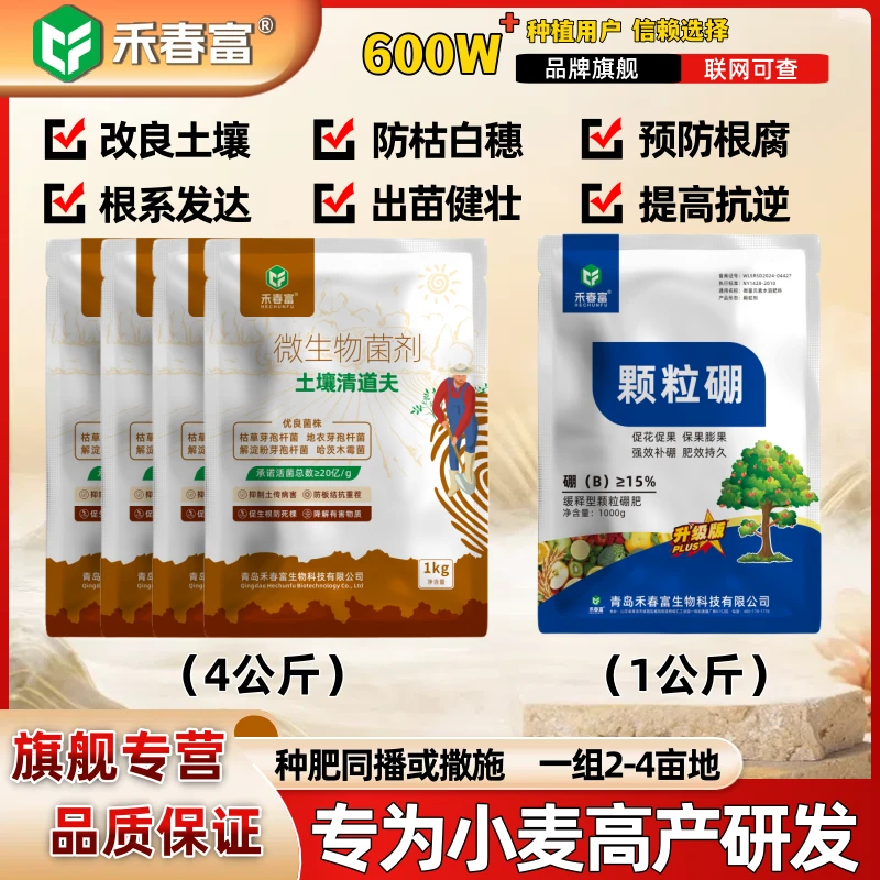 禾春富®小麦玉米辣椒生姜花生大蒜提产抗根腐抗重茬改良土壤