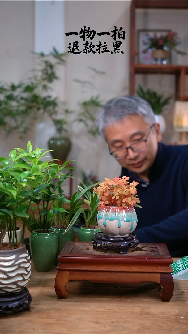 完全开放葉*某熔岩114