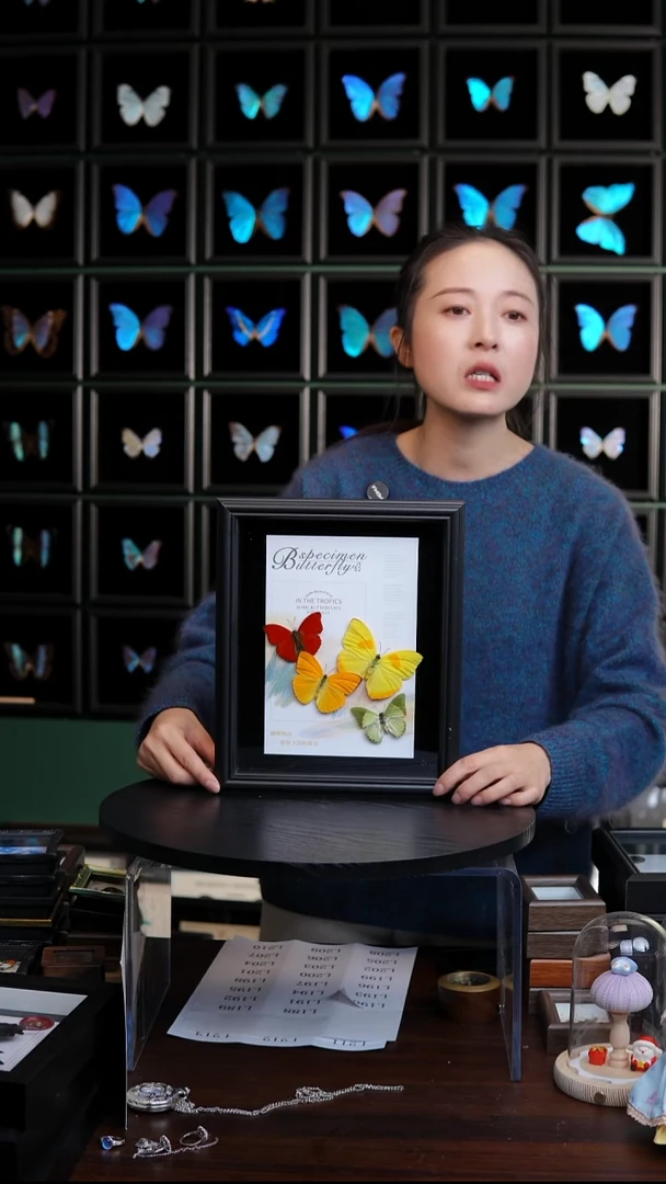 四色蝴蝶标本摆件10寸