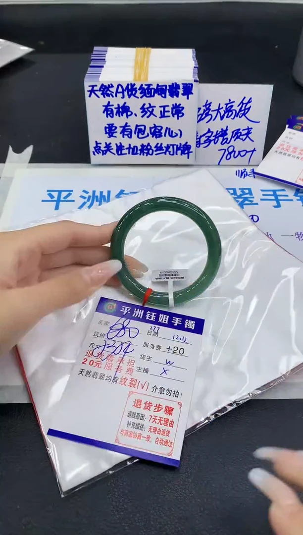未镶嵌手镯翡翠1
