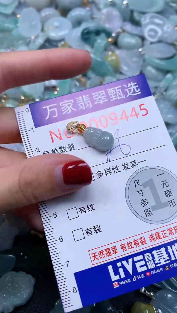 颈饰未镶嵌翡翠9445