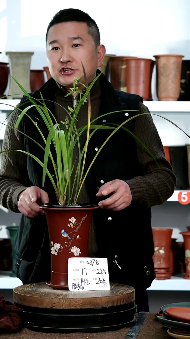 【闪购商品】紫砂花盆23795+z宜兴紫砂花盆