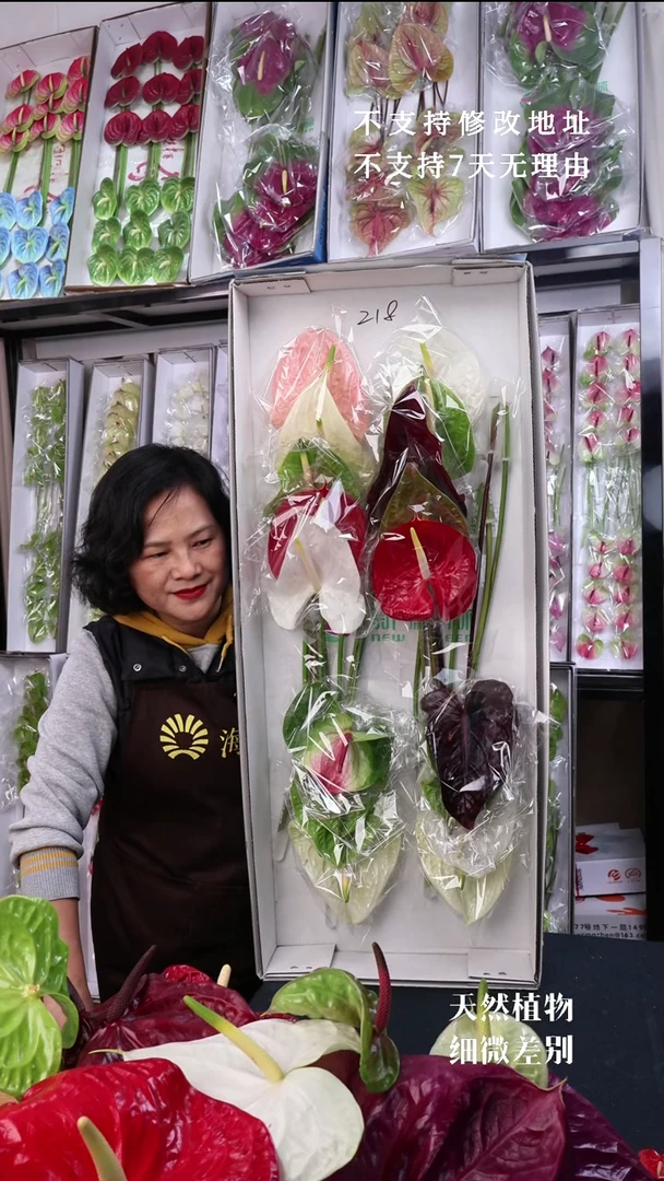 完全开放218 18枝长35-45冠幅12-15cm)有瑕福利不退不换不售后