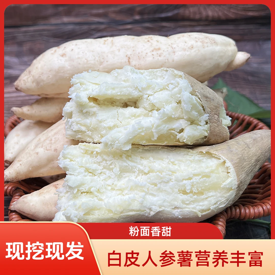 新鲜现挖白皮人参薯白心红薯牛奶板栗薯鸡蛋黄薯干面粉糯甜地瓜