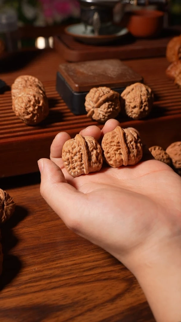 核桃小霸王33.。。。。。。