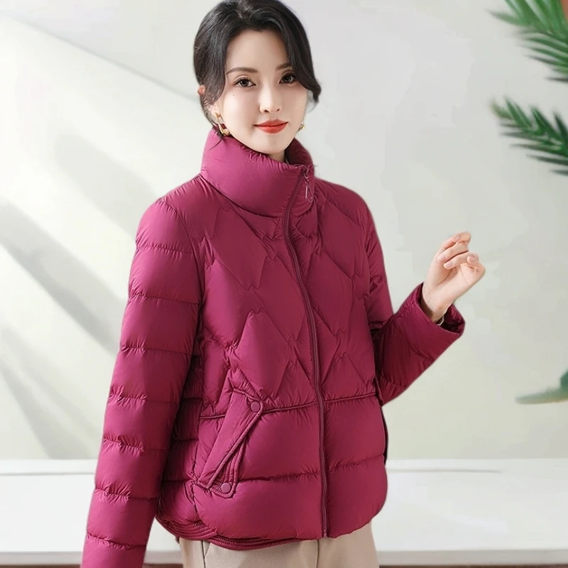 风之韵妈妈装羽绒服女士立领冬季新款加厚保暖外套中老年女装