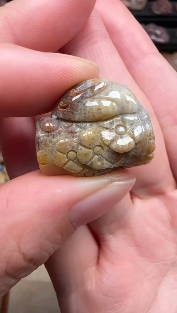 颈饰未镶嵌硅化珊瑚（珊瑚玉）720