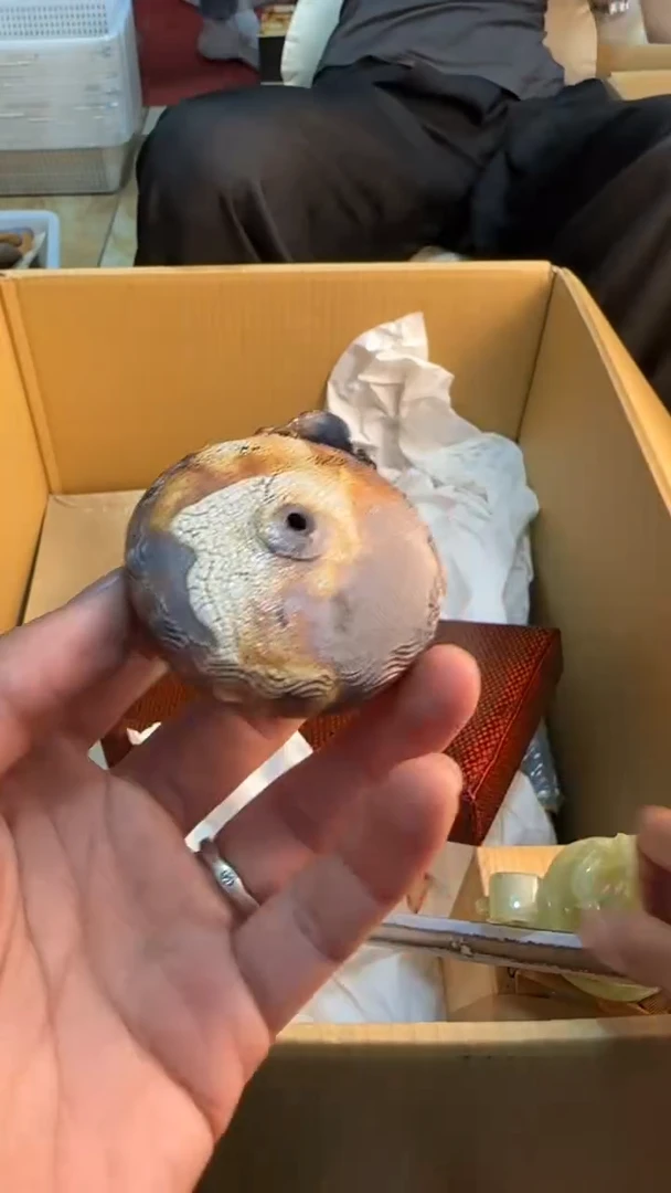 瓷片@*乐888888888      114