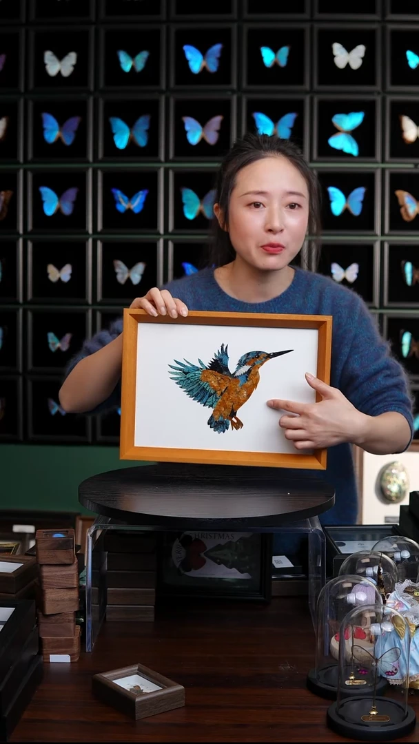 蝴蝶翅膀蝶翅画竞拍H90