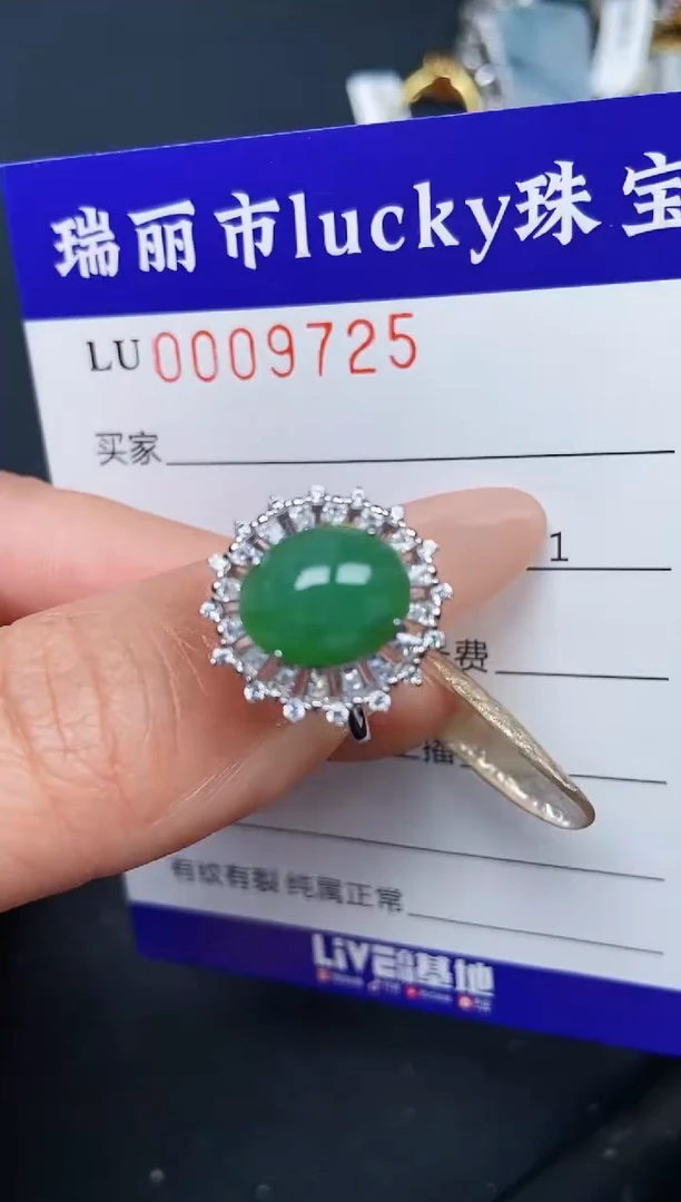 【闪购商品】翡翠颈饰银S925镶嵌9725