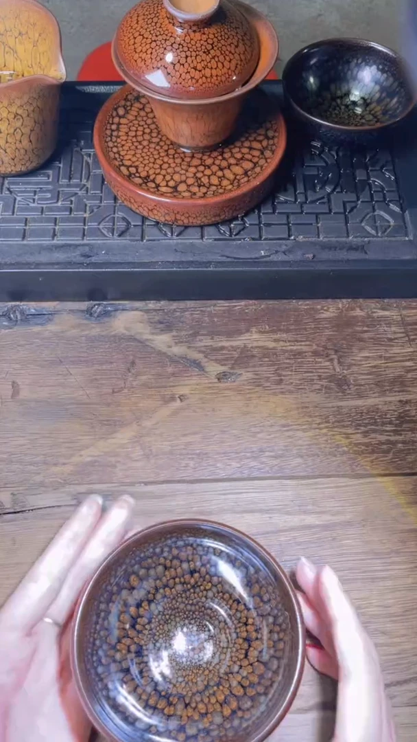 茶盏鹧鸪小王子何定欣经典鹧鸪斑