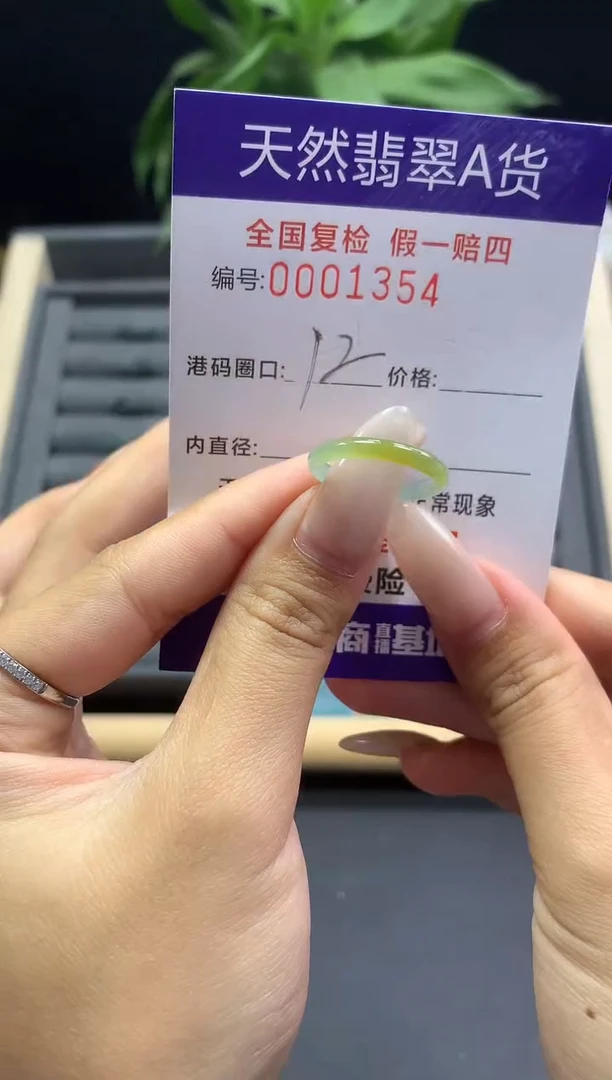 未镶嵌戒指翡翠天然  1354
