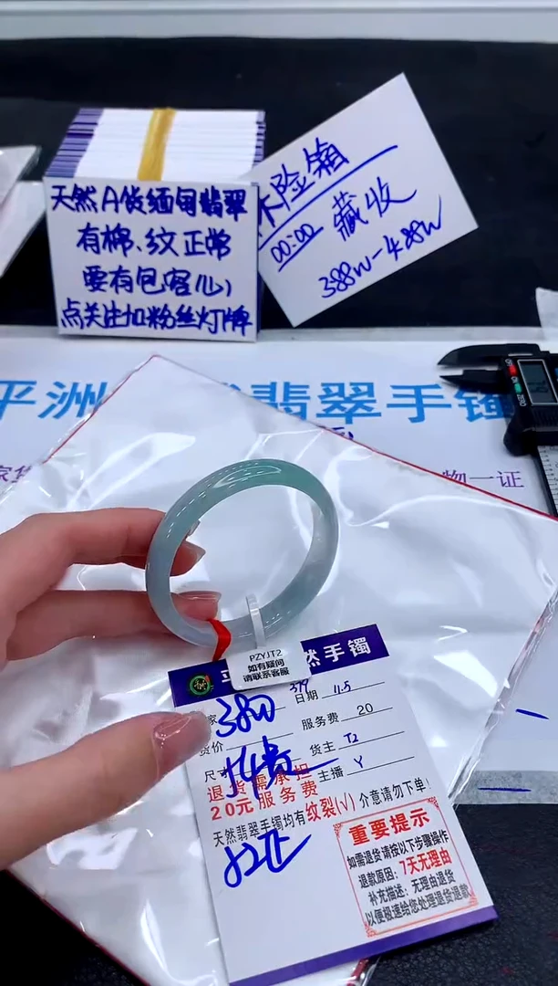 未镶嵌手镯翡翠111111111