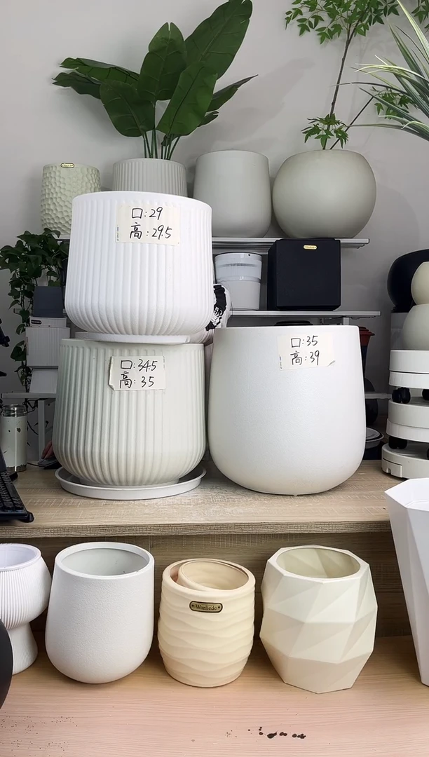 透明托盘14.5，10个