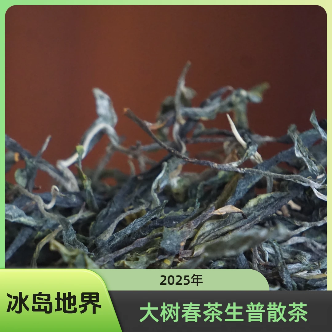 6冰岛地界2025年大树春茶生普100g/500g/1000g-无试喝装，拆封不退