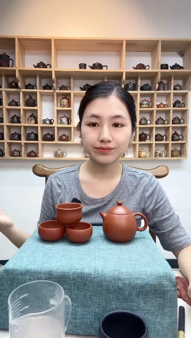 杨*森星月玩壶建水紫陶