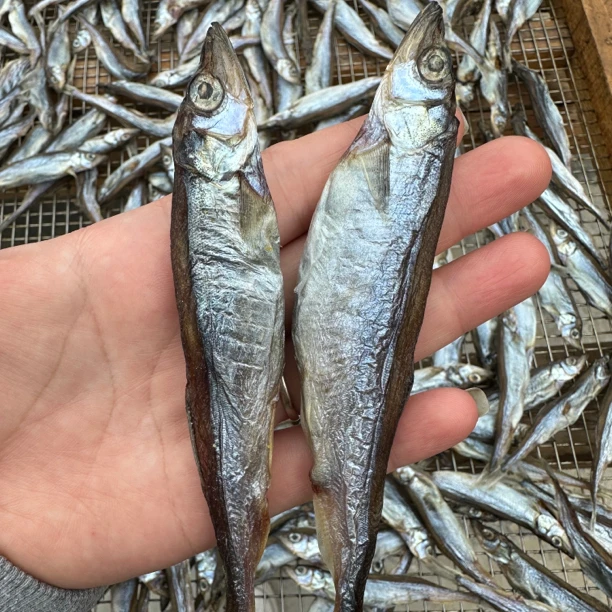 淡晒多春鱼干-多籽鱼500克