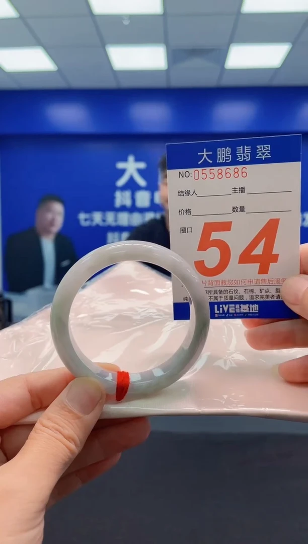 未镶嵌手镯翡翠AAAAAAAAA