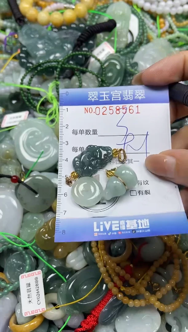 颈饰未镶嵌翡翠闪购C0258561