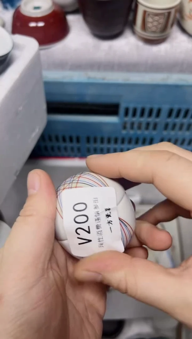 【闪购商品】默认微瑕 介意勿拍v200