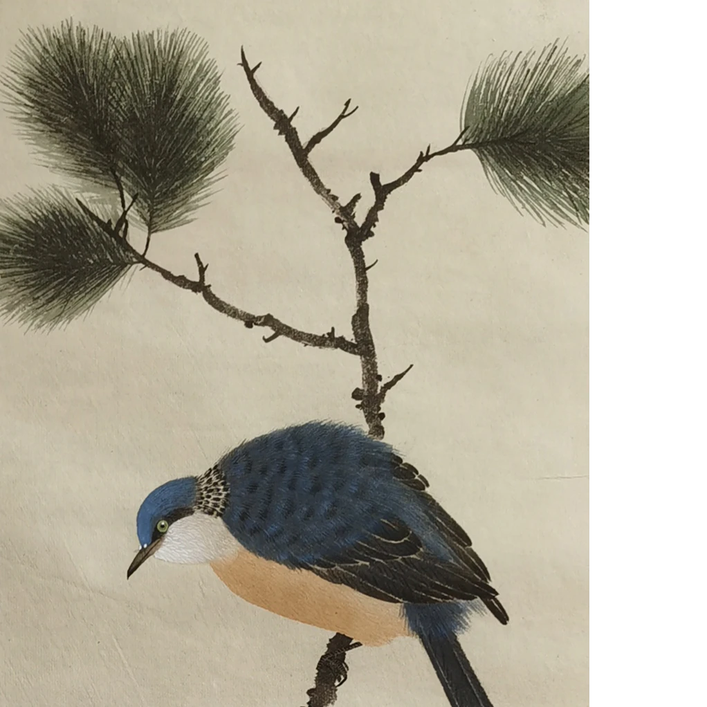 【辽拍】V240624-2-14《花鸟》（1.6平尺) 纸本镜片 dll1230