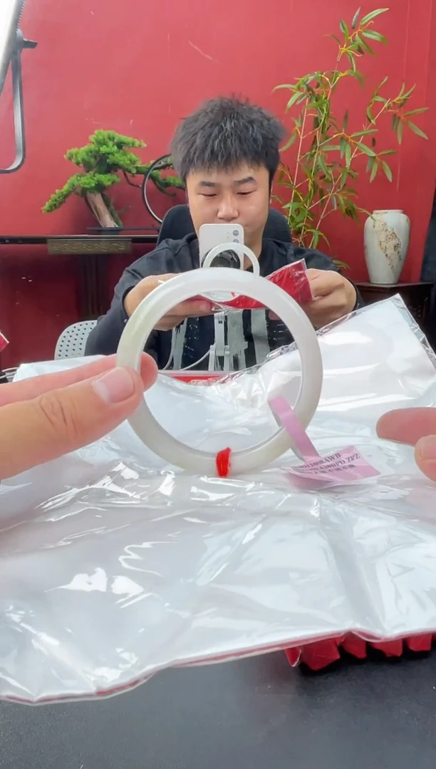 未镶嵌手镯翡翠12