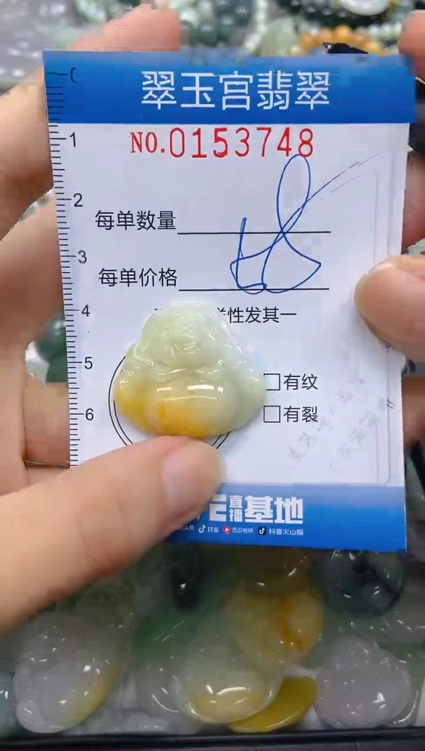 翡翠未镶嵌颈饰闪购0153748