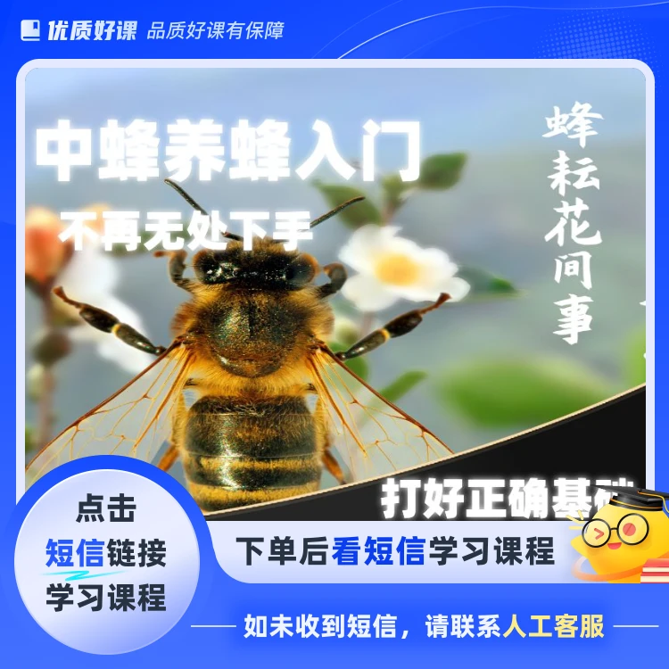 从零入门养蜂全面课程（点击短信链接学习课程）