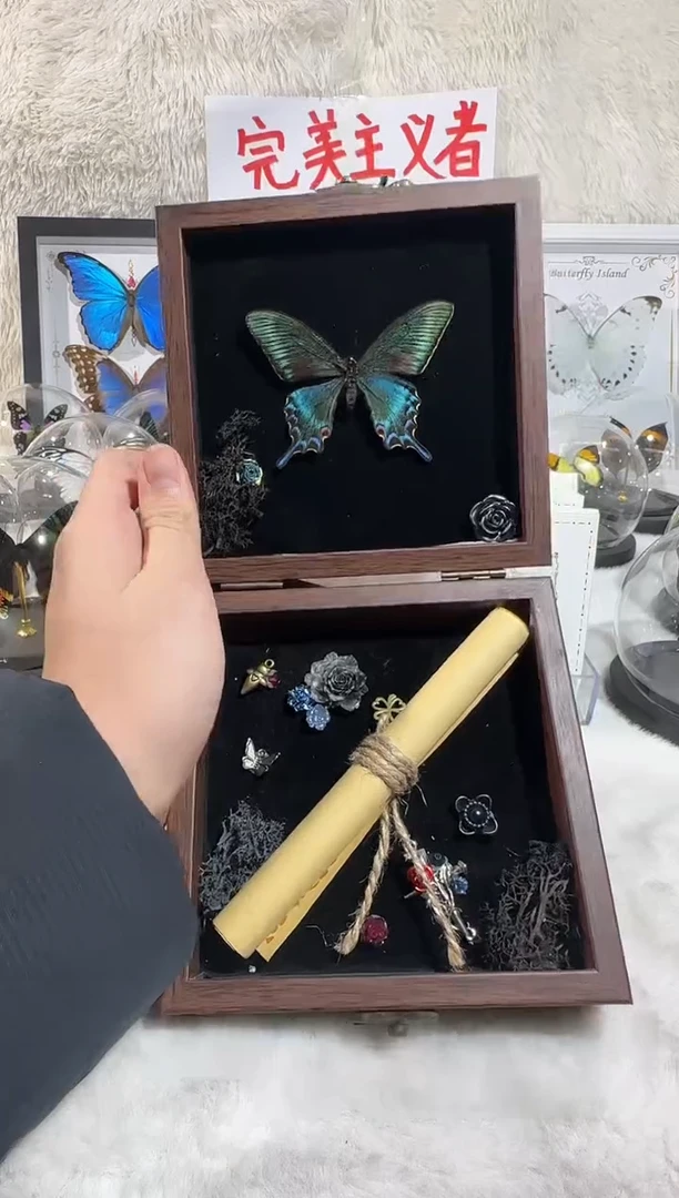 木小绿带盒子造景款
