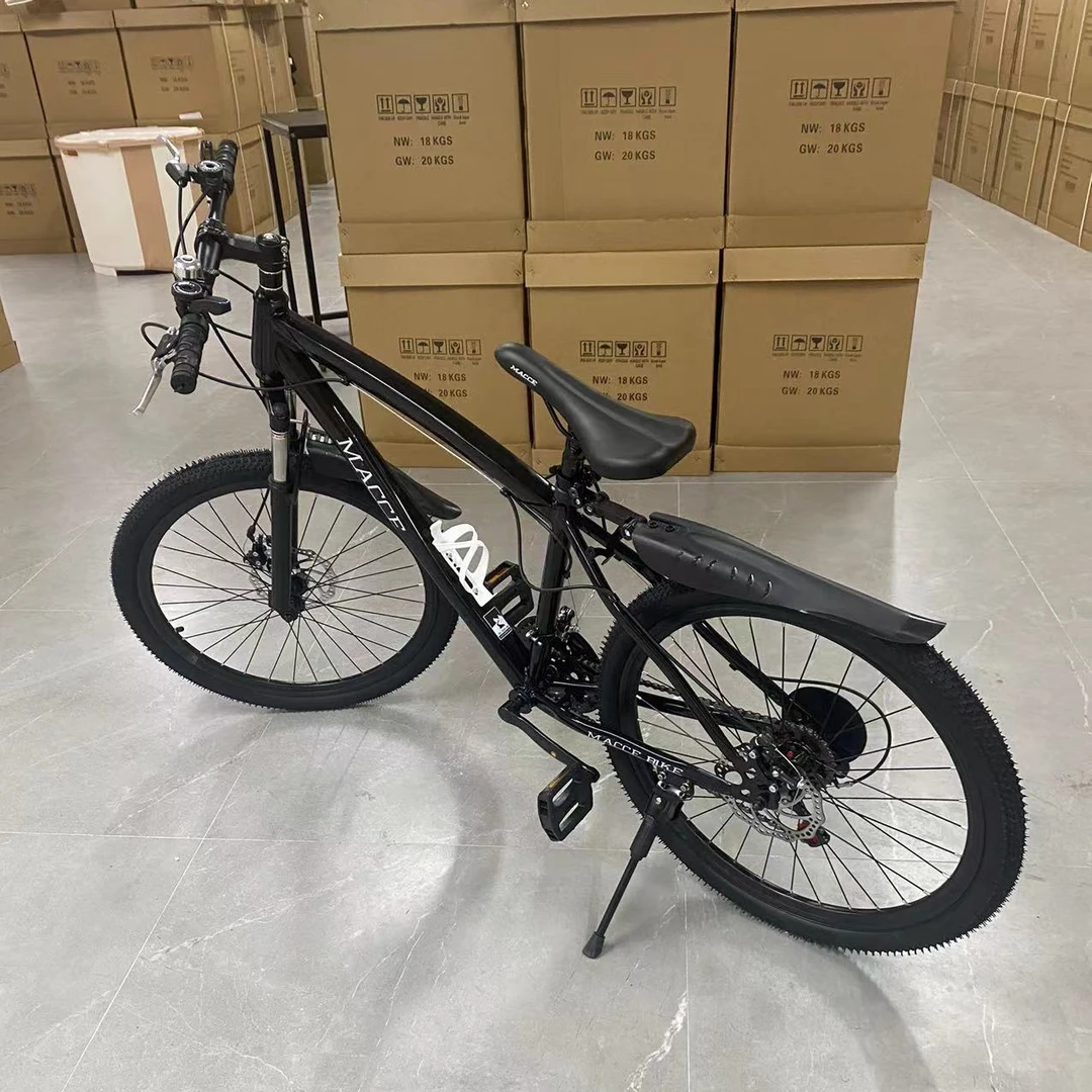 黑色 自行车 轻便单车DQ