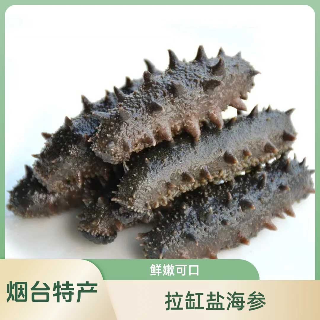 【次日达】烟台拉缸盐海参30-40头一斤泡发4斤