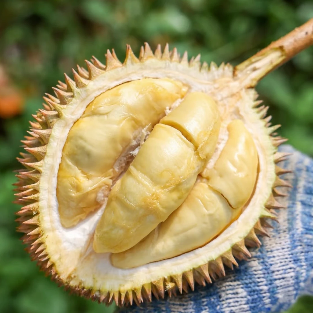 【金凤】新鲜马来西亚榴莲皇后D198榴莲小时达（开果不退）500g+ 核小金凤马来西亚