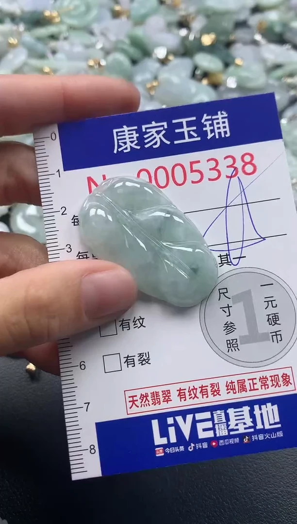 吊坠(不含链)未镶嵌翡翠5338