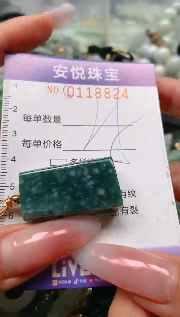 【闪购商品】翡翠颈饰未镶嵌闪购0118824