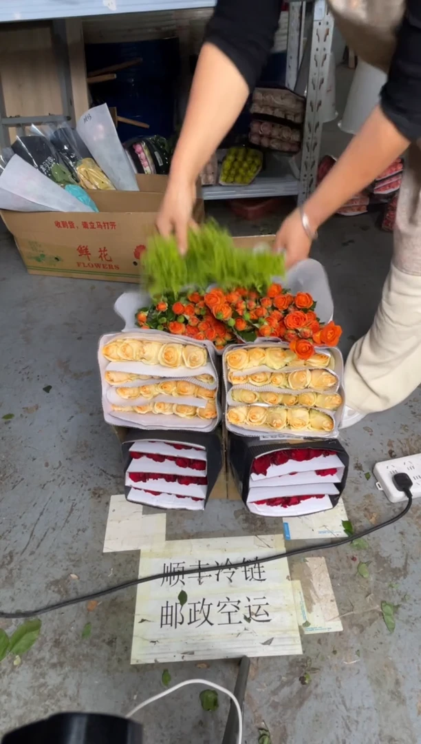 高原红20枝+香槟20枝+橙色芭比10枝+黄莺