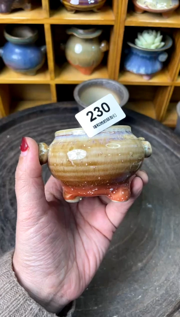 【闪购商品】陶230