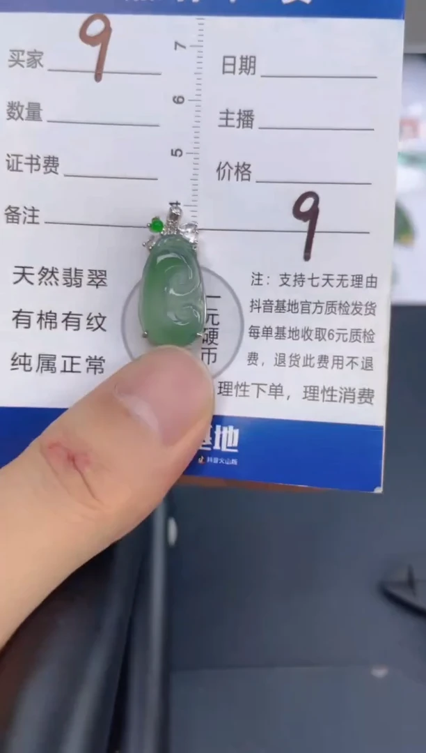 翡翠未镶嵌颈饰天然A货翡翠   9