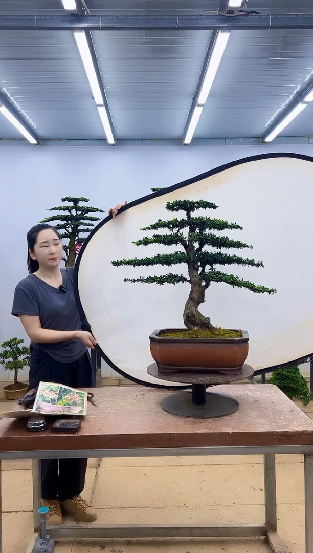 无花朵一物一拍，所见即所得