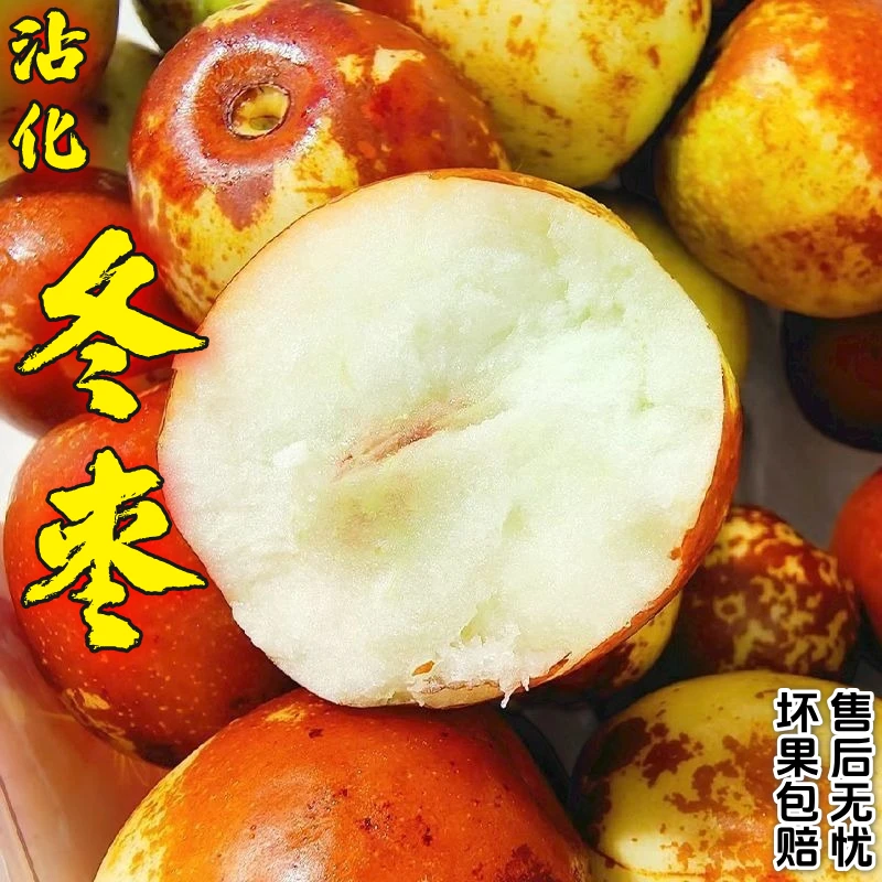 小耘乡山东沾化冬枣皮薄脆甜多汁当季新鲜水果现摘现发jd