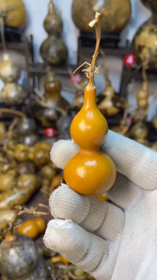 【闪购商品】葫芦葫芦葫芦葫芦葫芦