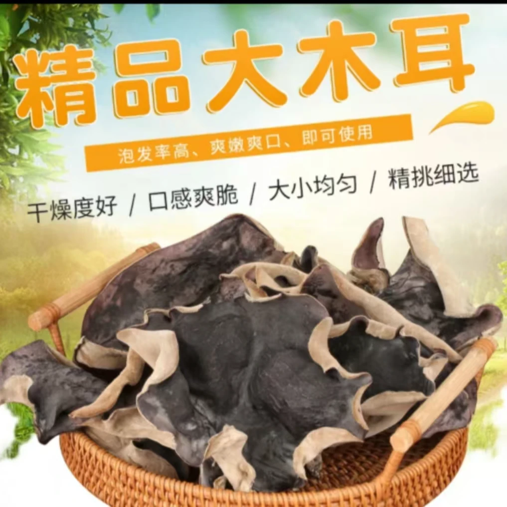 头茬农家黄贝木耳不熏硫不打药